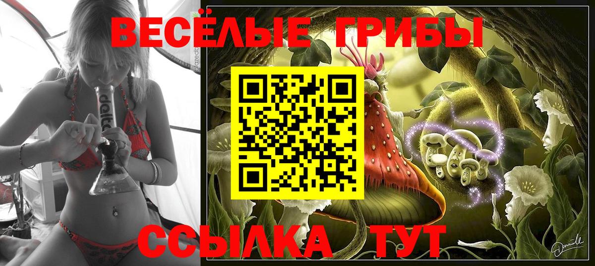 Галлюциногенные грибы ЛСД Йошкар-Ола