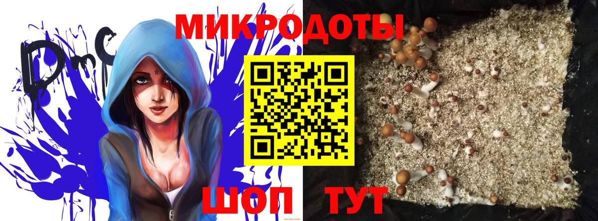 ЭКСТАЗИ Йошкар-Ола